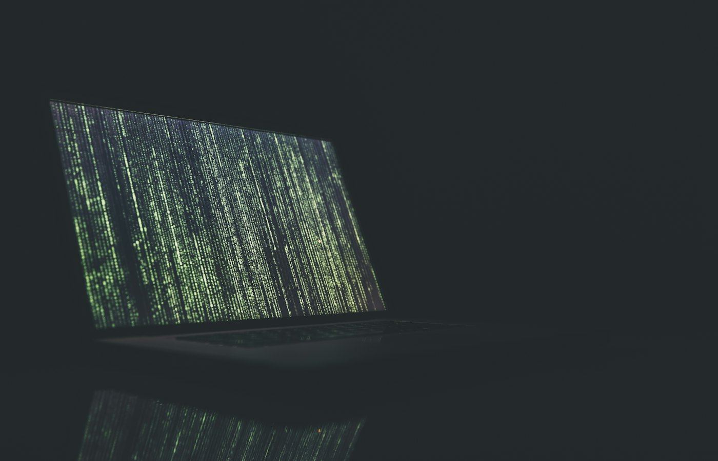 National Election Surveillance